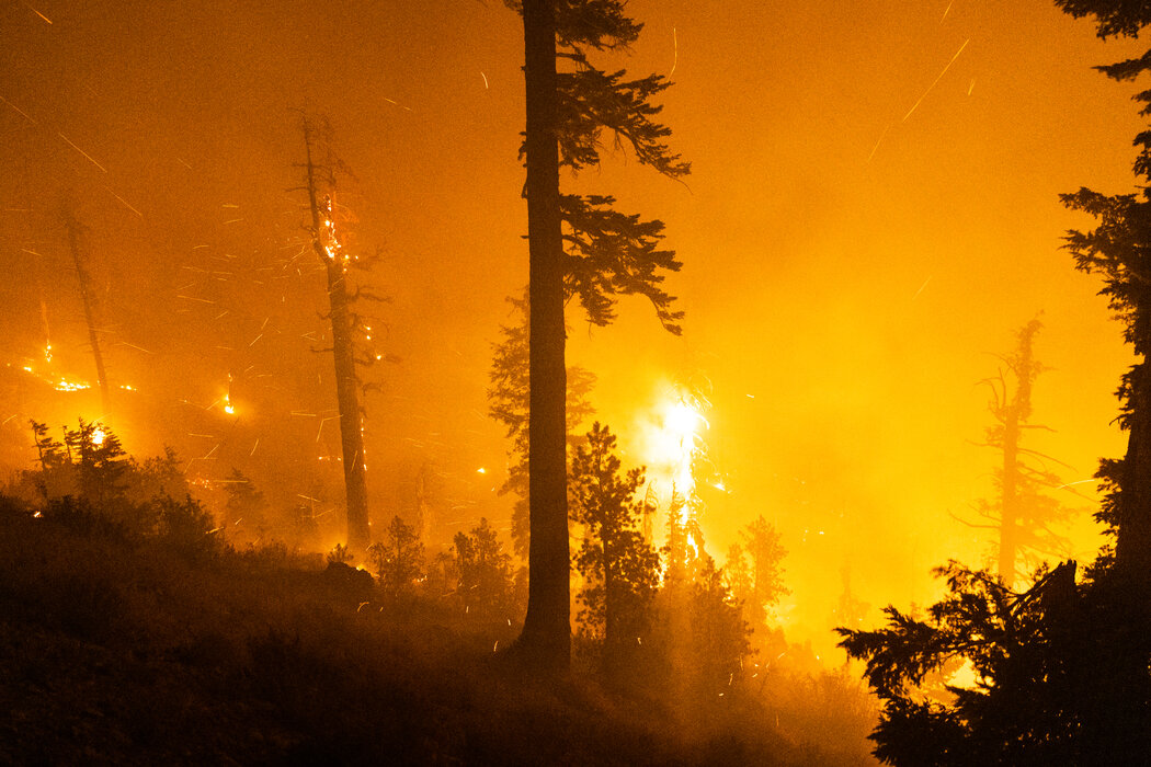 气候变化造成破坏的迹象包括美国西部的火灾