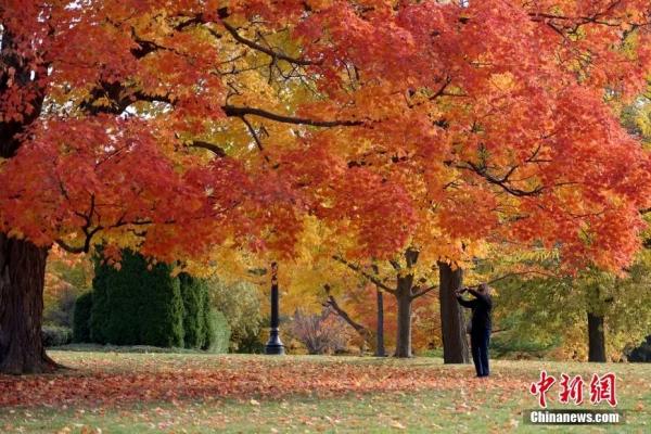 加拿大首都渥太华，游人在总督府内欣赏秋日景色
