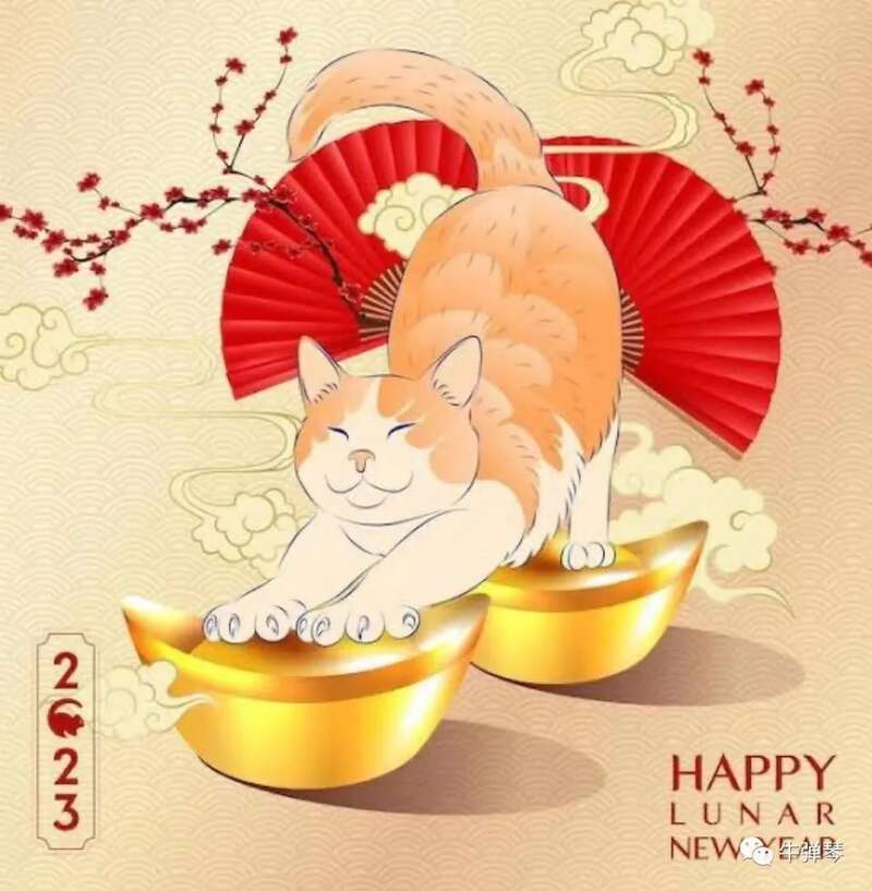 祝越南朋友猫年快乐