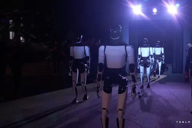 Tesla Bot