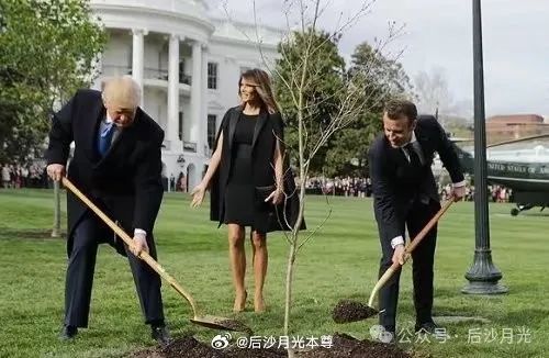 马克龙跟特朗普友谊的小船早就翻了，在特朗普第一个总统任期未结束前，他就让人把白宫门口那株两人共同种下 ...